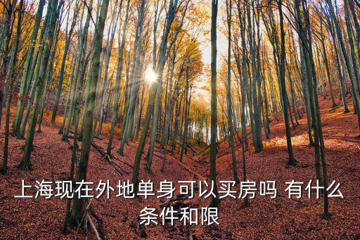 上海現在外地單身可以買房嗎 有什么條件和限