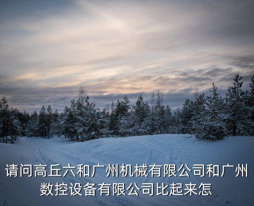 請(qǐng)問(wèn)高丘六和廣州機(jī)械有限公司和廣州數(shù)控設(shè)備有限公司比起來(lái)怎