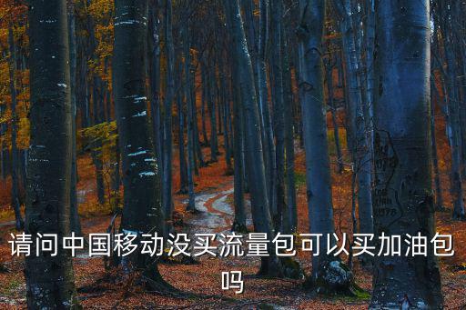 請問中國移動沒買流量包可以買加油包嗎