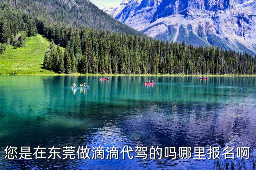 您是在東莞做滴滴代駕的嗎哪里報名啊