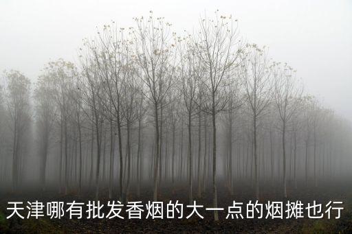 天津哪有批發香煙的大一點的煙攤也行