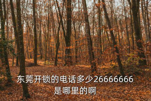 東莞開鎖的電話多少26666666是哪里的啊