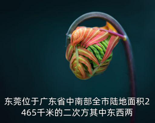 東莞位于廣東省中南部全市陸地面積2465千米的二次方其中東西兩