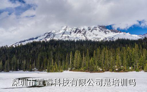 深圳市霆睿科技有限公司是培訓(xùn)嗎