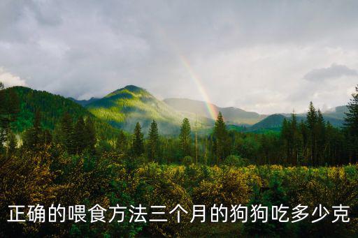 3個月的小狗吃多少，三個月左右的拉布拉多應該喂它吃多少