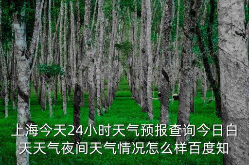 上海今天24小時天氣預報查詢今日白天天氣夜間天氣情況怎么樣百度知