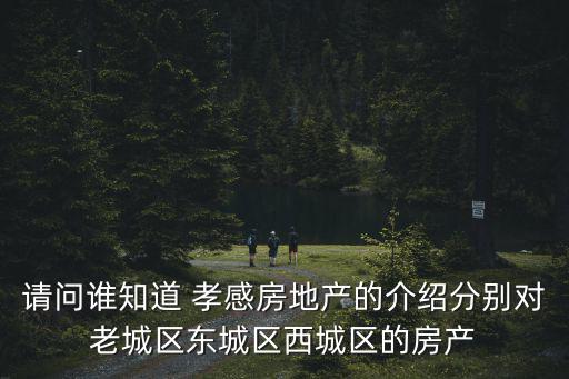 請問誰知道 孝感房地產的介紹分別對老城區東城區西城區的房產