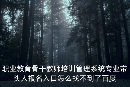 職業(yè)教育骨干教師培訓(xùn)管理系統(tǒng)專業(yè)帶頭人報(bào)名入口怎么找不到了百度