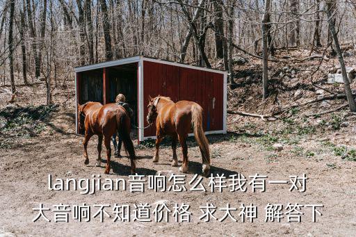 langjian音響怎么樣我有一對大音響不知道價(jià)格 求大神 解答下
