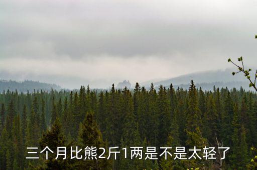 三個月比熊2斤1兩是不是太輕了