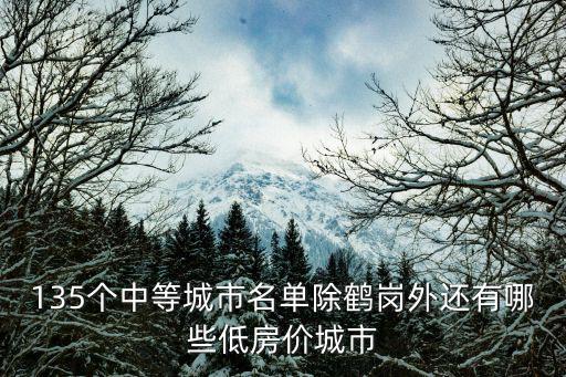 135個中等城市名單除鶴崗外還有哪些低房價城市