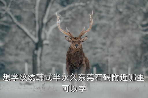 想學(xué)紋繡韓式半永久東莞石碣附近哪里可以學(xué)