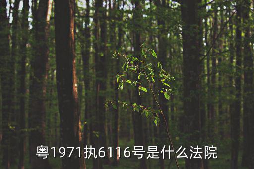 粵1971執6116號是什么法院