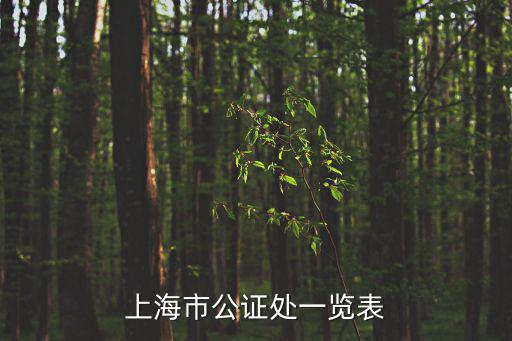 上海市公證處一覽表