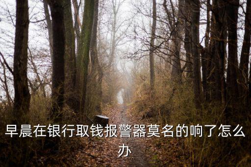 銀行報警器響了怎么辦，今早在農業銀行存款時報警器響起來了是怎么回事