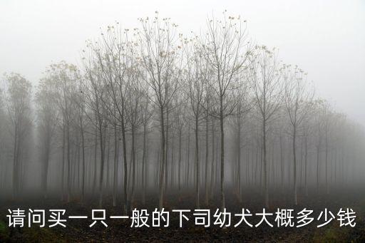 請問買一只一般的下司幼犬大概多少錢