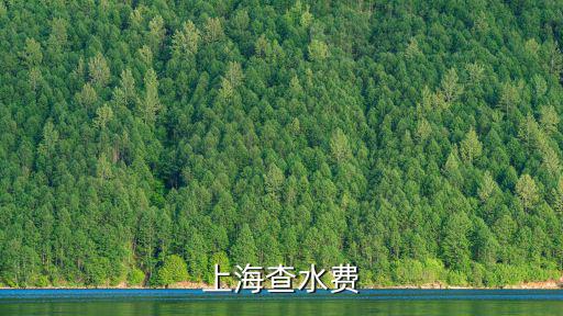 上海查水費(fèi)