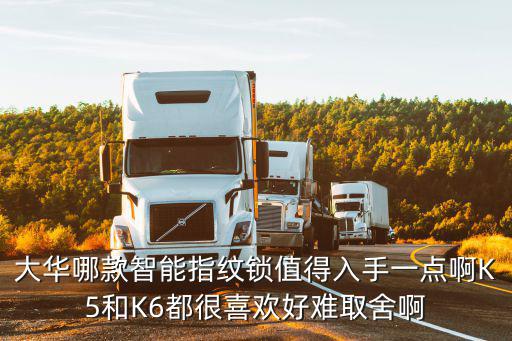 大華指紋鎖怎么樣，寧波大華鎖業怎么樣求解
