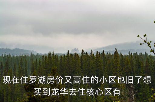 現在住羅湖房價又高住的小區也舊了想買到龍華去住核心區有