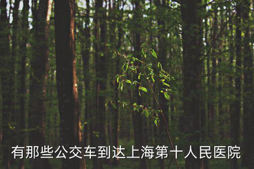 有那些公交車到達上海第十人民醫院