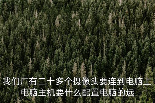 我們廠有二十多個攝像頭要連到電腦上電腦主機要什么配置電腦的遠(yuǎn)