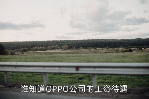 誰知道OPPO公司的工資待遇