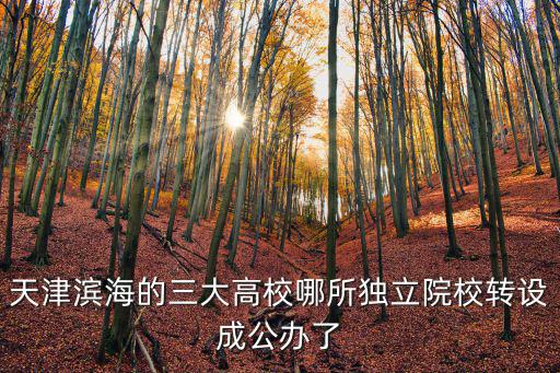 天津濱海的三大高校哪所獨立院校轉設成公辦了