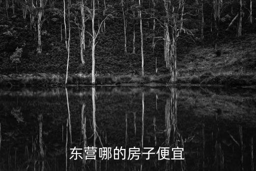 東營哪的房子便宜