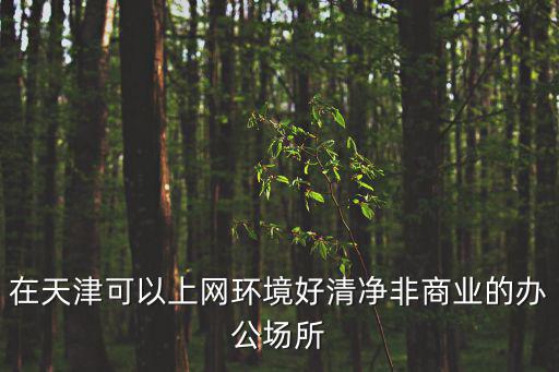 在天津可以上網環境好清凈非商業的辦公場所