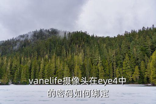 vanelife攝像頭在eye4中的密碼如何綁定