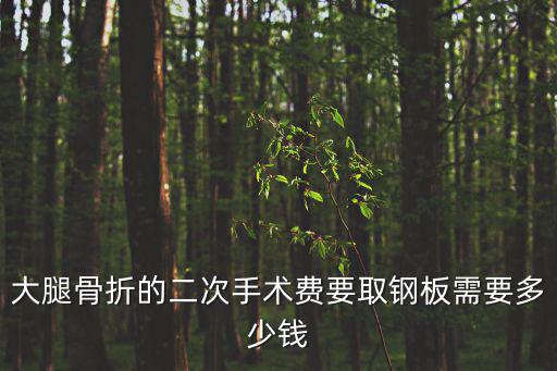 大腿骨折的二次手術費要取鋼板需要多少錢