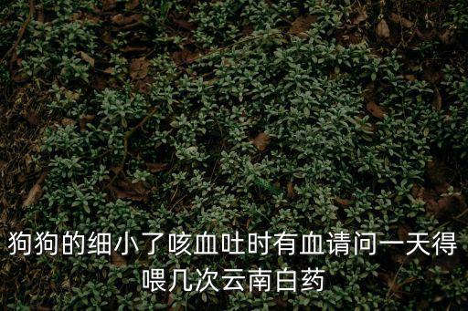 狗狗的細(xì)小了咳血吐時有血請問一天得喂幾次云南白藥