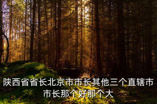 北京市長和上海市長那個大，上海和北京的市長哪一位級高些應(yīng)該是什麼級別