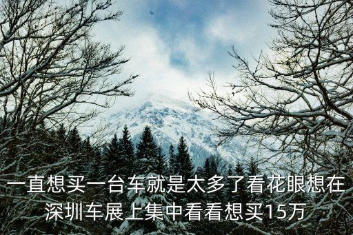 一直想買一臺車就是太多了看花眼想在深圳車展上集中看看想買15萬