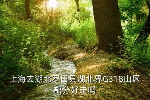 上海市到羅田縣鳳山鎮，上海南站長途汽車站到湖北羅田的長途汽車一天有幾個班次各是多少