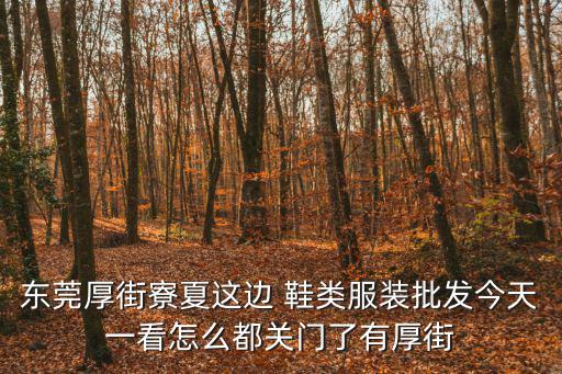 東莞厚街寮夏這邊 鞋類服裝批發今天一看怎么都關門了有厚街