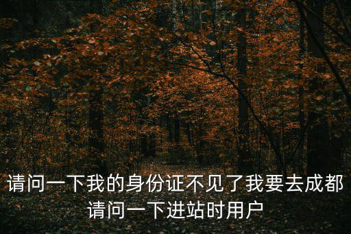請問一下我的身份證不見了我要去成都請問一下進站時用戶