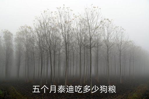 五個月的太迪吃多少狗糧，五個月泰迪吃多少狗糧