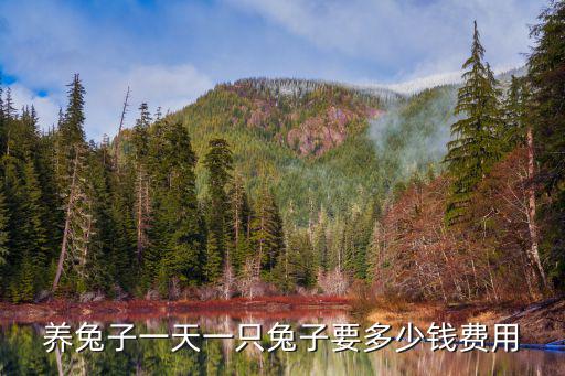 養兔子一天一只兔子要多少錢費用