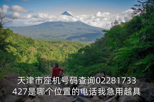 天津市座機(jī)號(hào)碼查詢02281733427是哪個(gè)位置的電話我急用越具