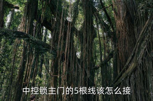 小區門禁五線怎么接線，中控鎖主門的5根線該怎么接