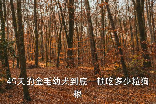 45天的金毛幼犬到底一頓吃多少粒狗糧