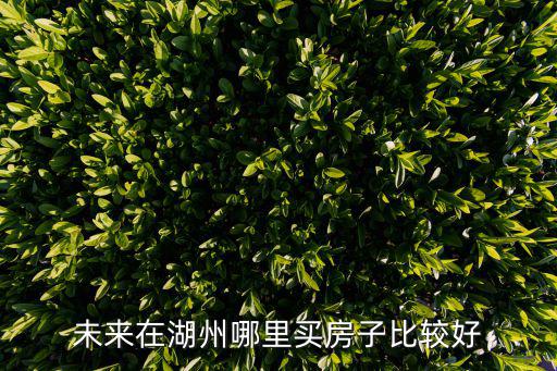 未來在湖州哪里買房子比較好