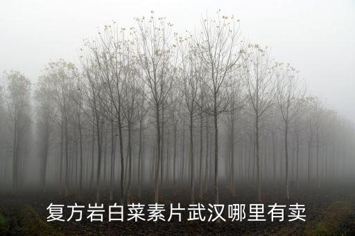 復(fù)方巖白菜素片武漢哪里有賣(mài)