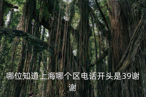 哪位知道上海哪個區電話開頭是39謝謝