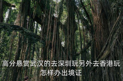 武漢人來深圳蛇口，武漢至深圳終點(diǎn)站具體是那個(gè)戰(zhàn)怎么才能最方便到達(dá)深圳蛇口碼頭