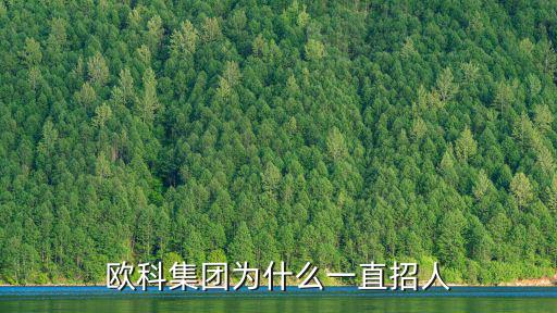 歐科集團為什么一直招人