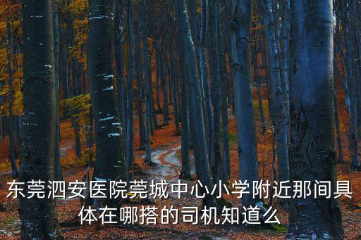 東莞泗安醫(yī)院莞城中心小學附近那間具體在哪搭的司機知道么