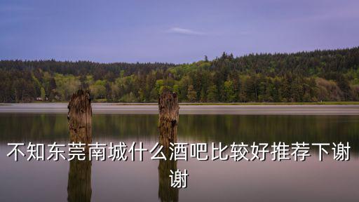 不知東莞南城什么酒吧比較好推薦下謝謝