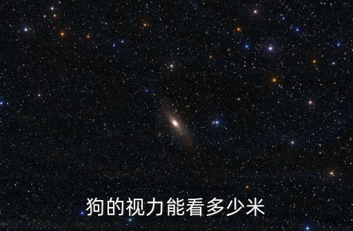 狗的視力能看多少米